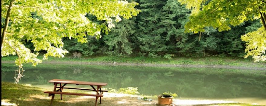 Riverhurst Park Campground