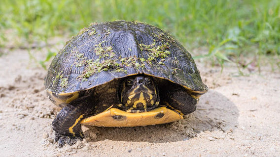 Donnelley Wildlife Management Area