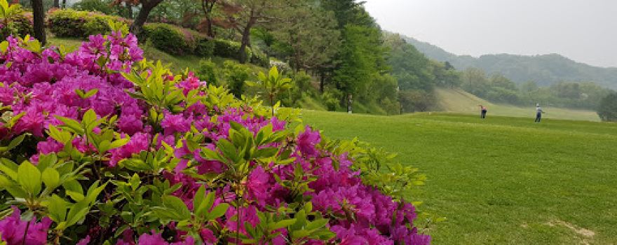 New Seoul Country Club