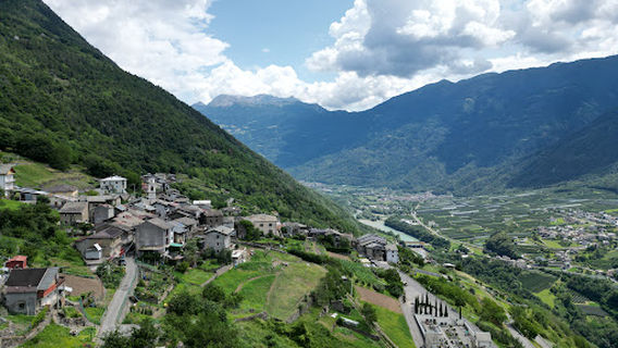 Big Bench #218 - Tirano