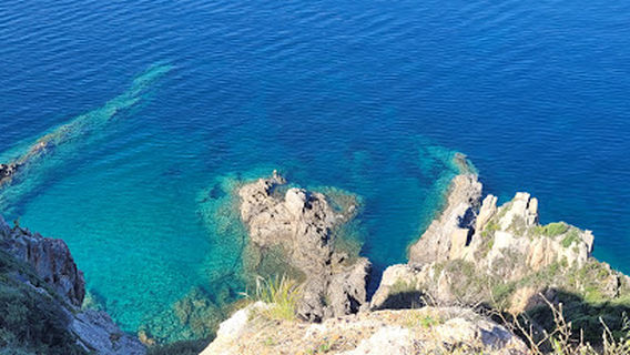 Point de vue