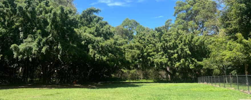 Martindale Street Park Off-Leash Dog Area