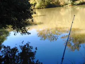 Морганс Ландинг Кэмпграунд
