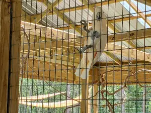 Wild Acres Hands-on Animal Experience - Reservation Required