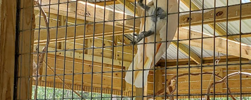 Wild Acres Hands-on Animal Experience - Reservation Required