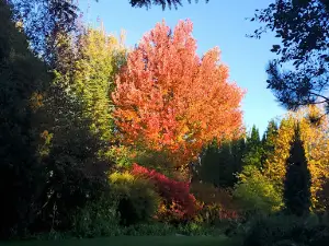 Thomas E. Ricks Gardens