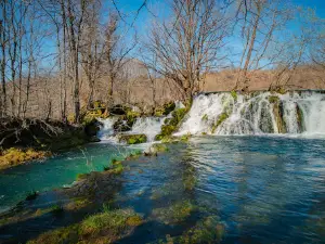 Camping Etno Park