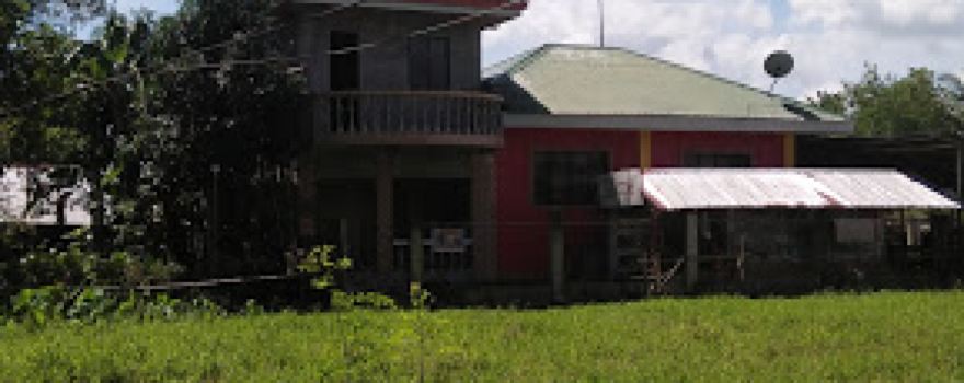 Cari Mayor Basketball Court