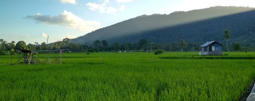 Balai Desa Teluk Mesjid