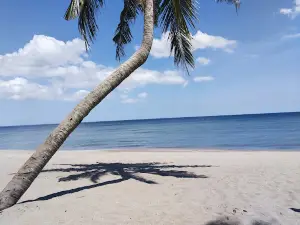 Wisata Pantai Lowita