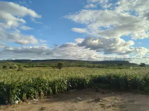 Estátua De São Cristóvão