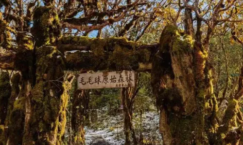Gaoligong Mountains