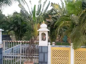 Damandkeshwar Lawns
