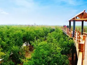 Millennium Jujube Forest Tourist Area