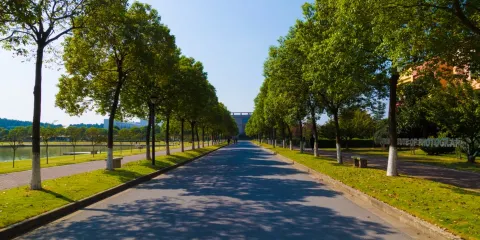 南京視覺藝術學院