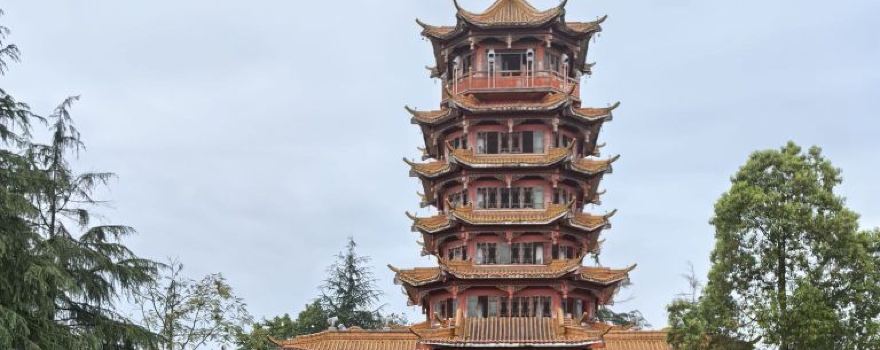 kui ge ta