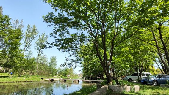 Youyou Valley Resort