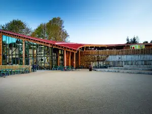 RSPB Sherwood Forest and Budby South Forest