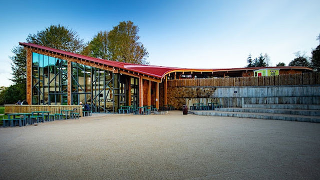 RSPB Sherwood Forest and Budby South Forest