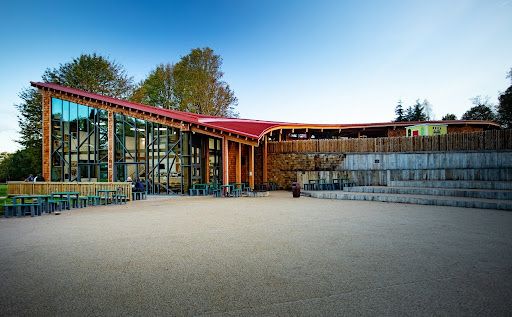 Sherwood Forest