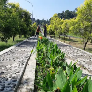 Kebun Raya Kuningan