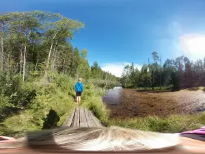 Vilbaste allikate matkarada