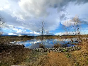 Ford's Pond Trail Access