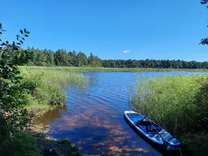 RMK Lepaaugu lõkkekoht