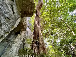 Koumac Grotto