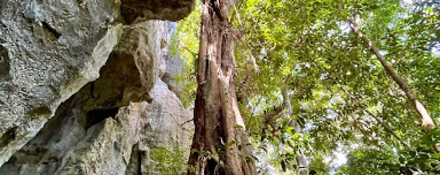 Koumac Grotto