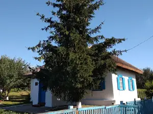 Derzhavnyy Literaturno-Memorialʹnyy Muzey-Sadyba Olesya Honchara