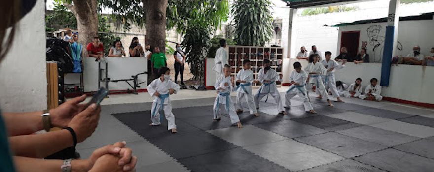 Dojo Licasaqui, Kodokai De Venezuela,