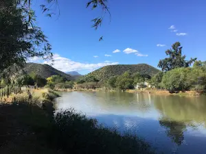 Oppi Dam