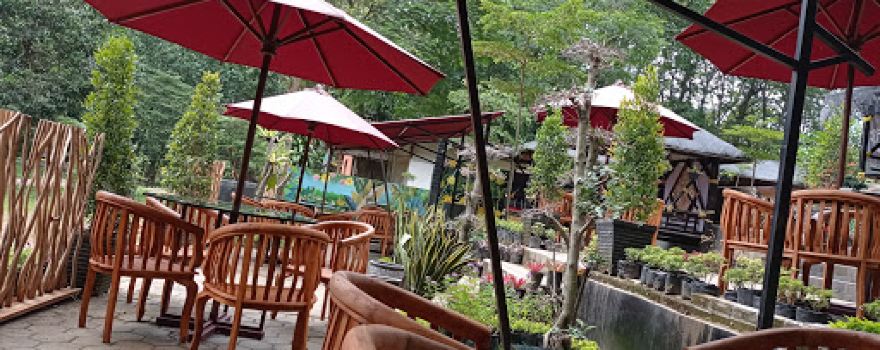 Wana Wisata Grape