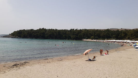 Tivat