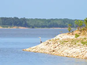 Kiamichi Park