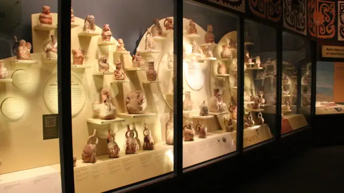 5_Field Museum