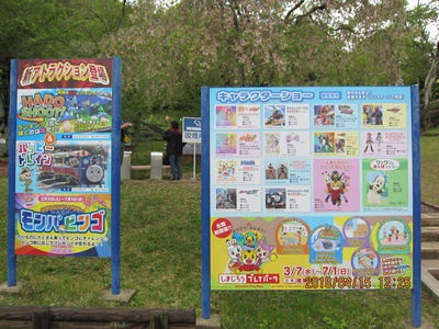 Japan Monkey Park