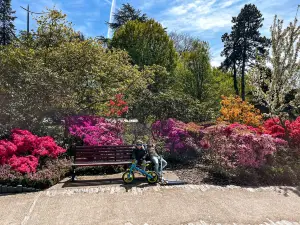 Parc de Procé