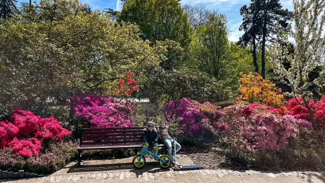 Parc de Procé