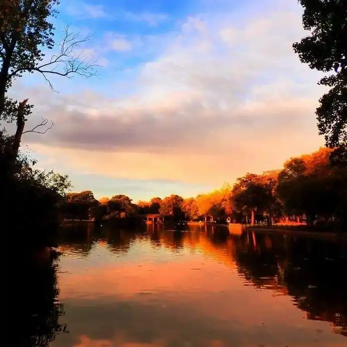 Hotels near Small Heath Park