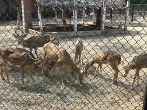 Guindy National Park