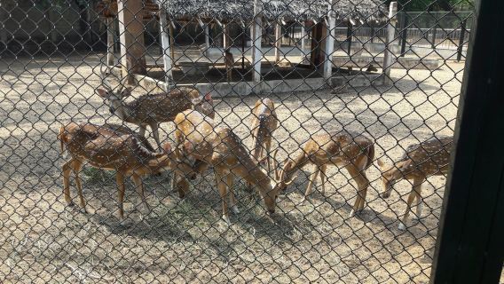 Guindy National Park