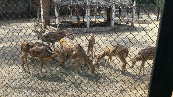 Guindy National Park