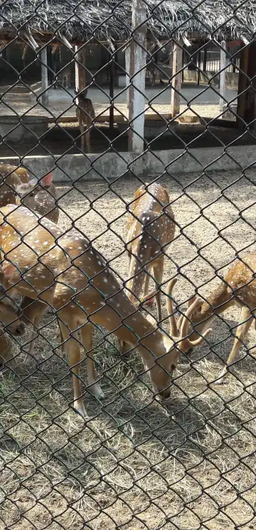 Hoteles cerca de Parque nacional de Guindy