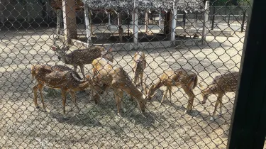 Национальный парк Гвинди