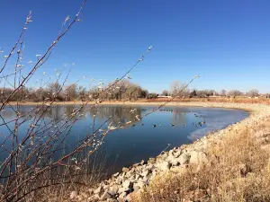 Waneka Lake Park