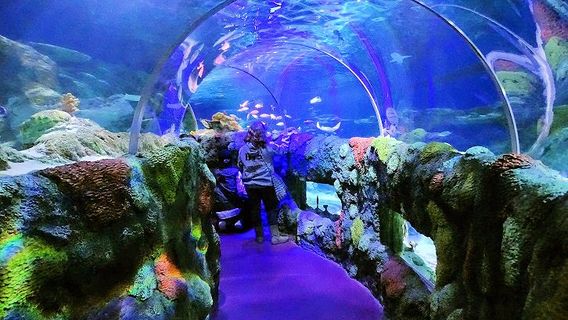 SEA LIFE Charlotte-Concord