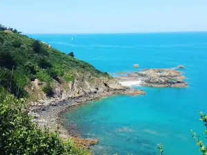 Réserve naturelle nationale de la baie de Saint-Brieuc