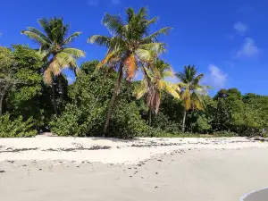 Grande Anse des Salines